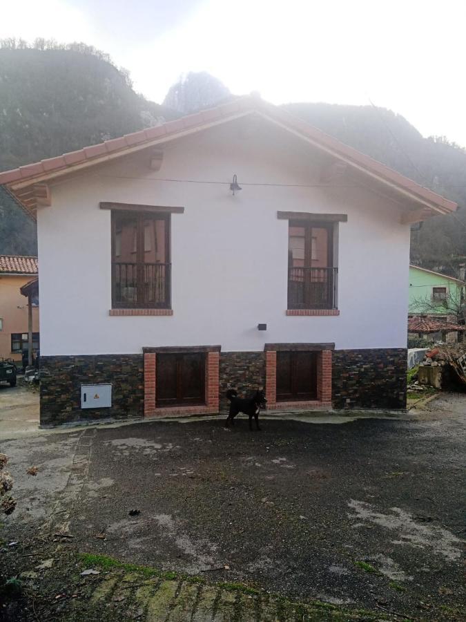 Casa Rural Gueilones, Parque Natural De Ponga Sobrefoz 외부 사진